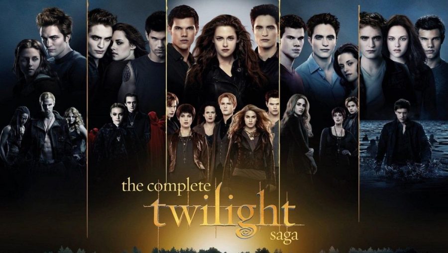 The+Reality+of+Being+a+Twilight+Lover