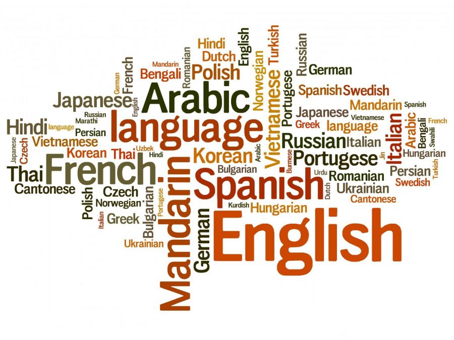 Multilingualism