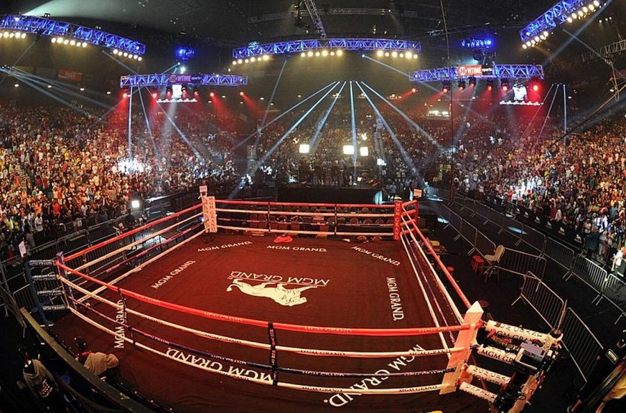 What's the Difference? Boxing vs MMA The CGA Press