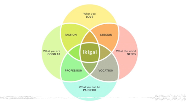 The Ikigai System