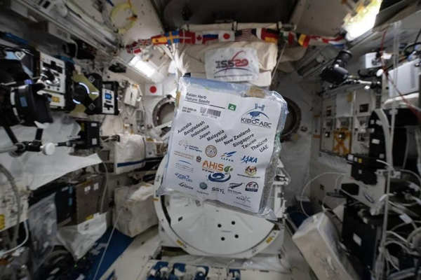 Seeds in Space: A Potential Solution to the Global Food Crisis?